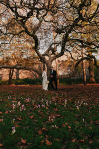 Bride and groom under tree in Bute Park
